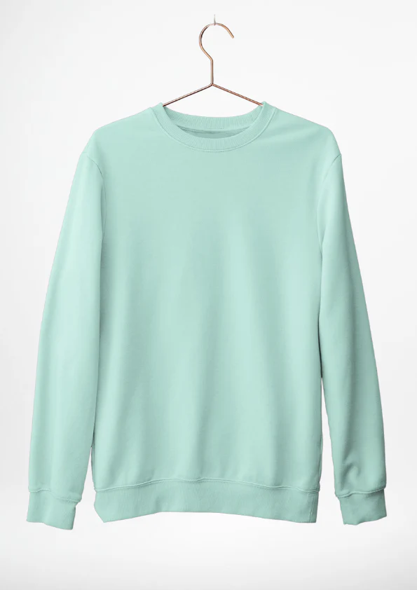 RC | Sweatshirt | Mint - Plus Sizes - Image 2